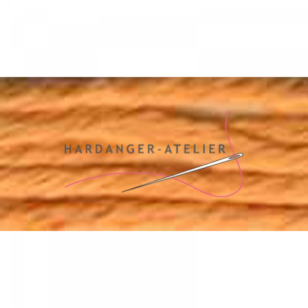 Au ver a Soie Soie d'Alger 100% zijden borduurgaren.
