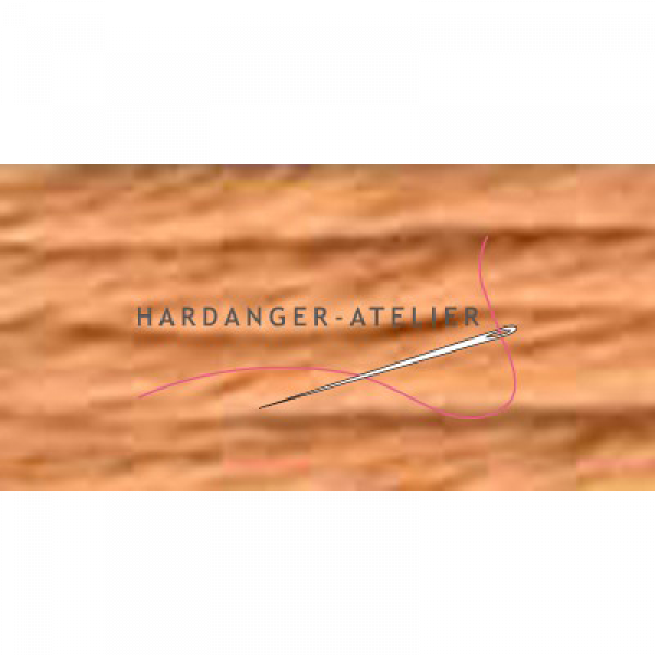 Au ver a Soie Soie d'Alger 100% zijden borduurgaren.