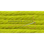 Au ver a Soie Soie d'Alger 100% zijden borduurgaren.