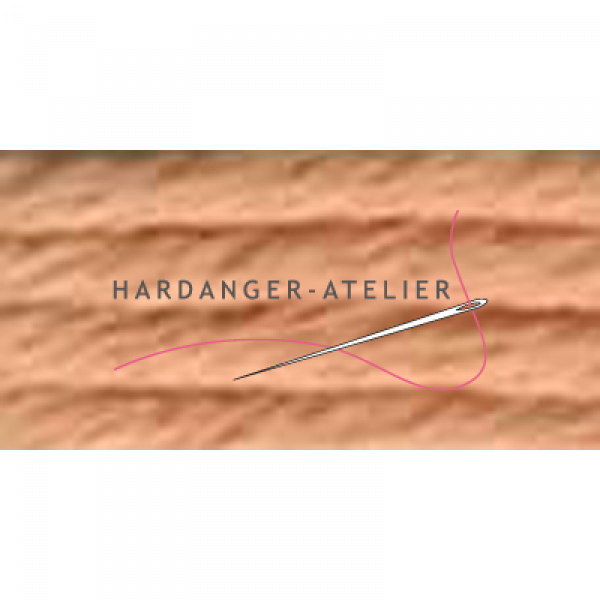 Au ver a Soie Soie d'Alger 100% zijden borduurgaren.