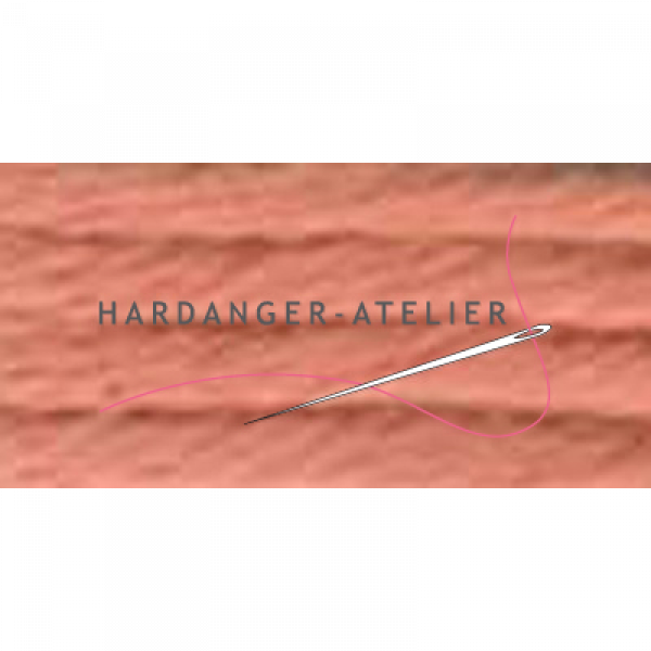 Au ver a Soie Soie d'Alger 100% zijden borduurgaren.