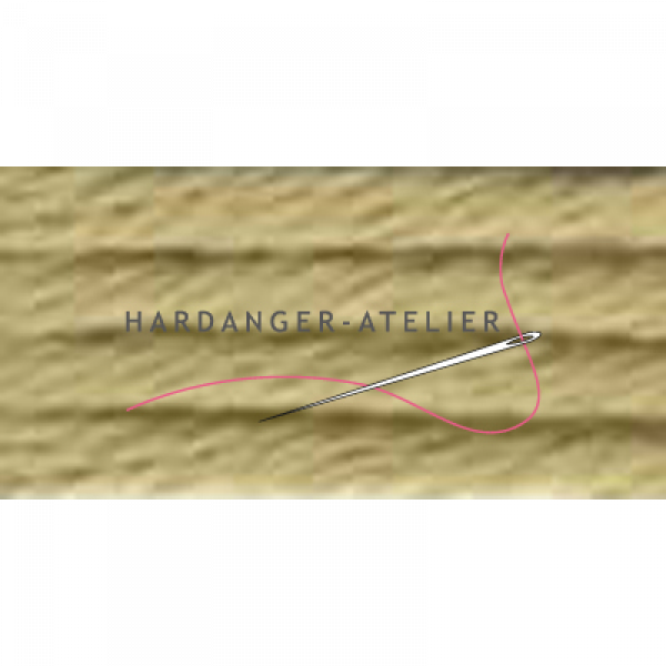 Au ver a Soie Soie d'Alger 100% zijden borduurgaren.
