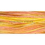 DMC 417 mouliné Color Variations   In kleur overlopend borduurgaren splijtgaren splijtzijde  