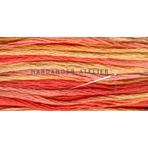 DMC 417 mouliné Color Variations   In kleur overlopend borduurgaren splijtgaren splijtzijde  