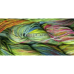 Tentakulum Painter's Threads Broder special dikte 25 Vierfachgarn 100% katoen borduurgaren borduurzijde overlopend gemêleerd borduurkatoen