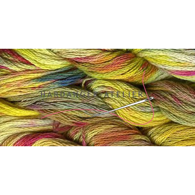 Gemêleerd mouliné Tentakulum Painter's Threads 6 draads splijtgaren